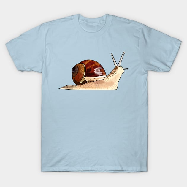 Snail cartoon illustration T-Shirt by Miss Cartoon